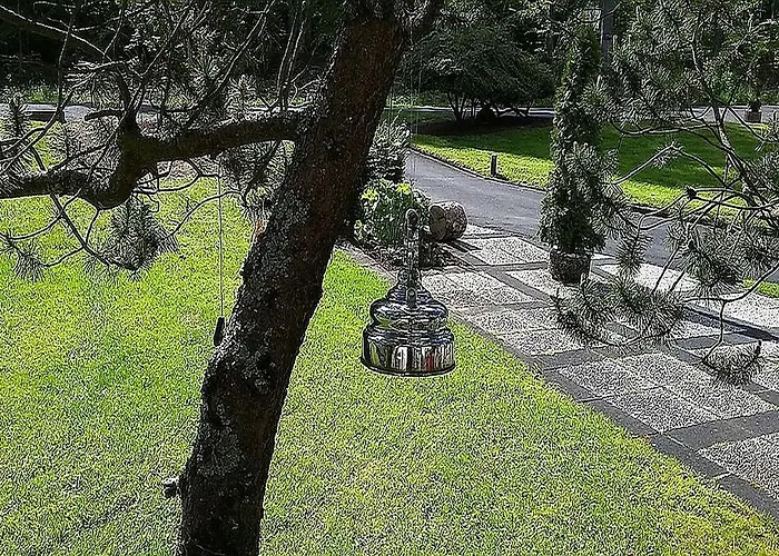 Hotel Waldhotel Dierdorf