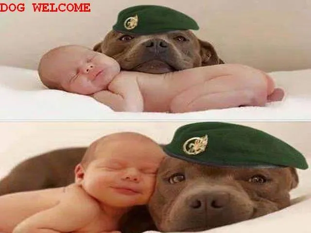 Hotel Waldhotel Dierdorf